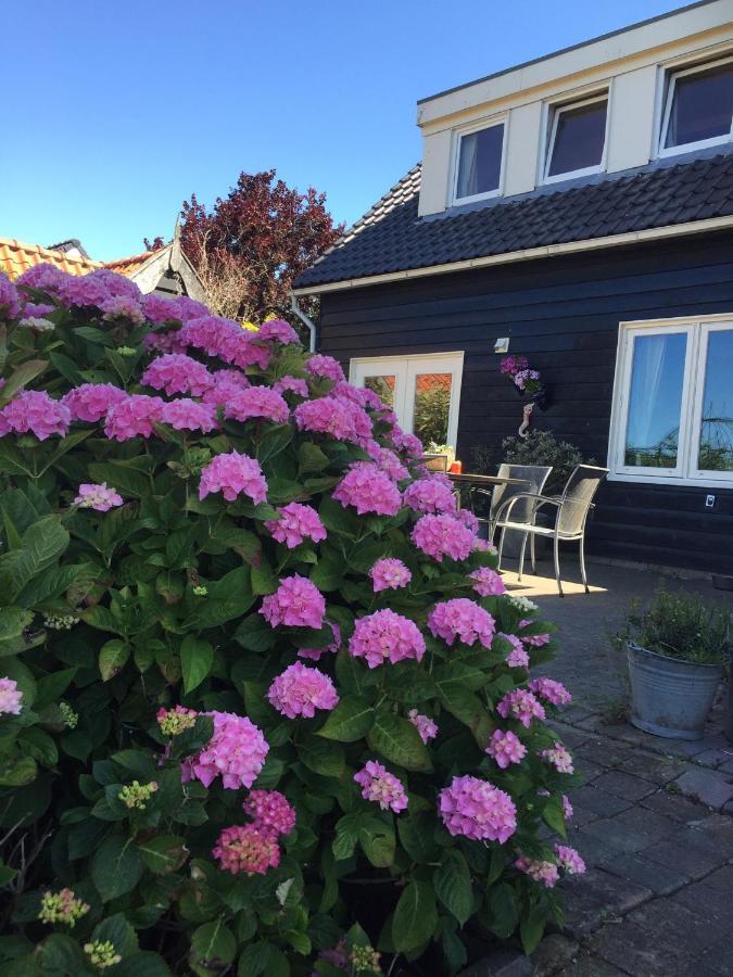 T Huuske Tuinappartement Met Fantastisch Uitzicht, Nabij Zee Zonnemaire Екстер'єр фото
