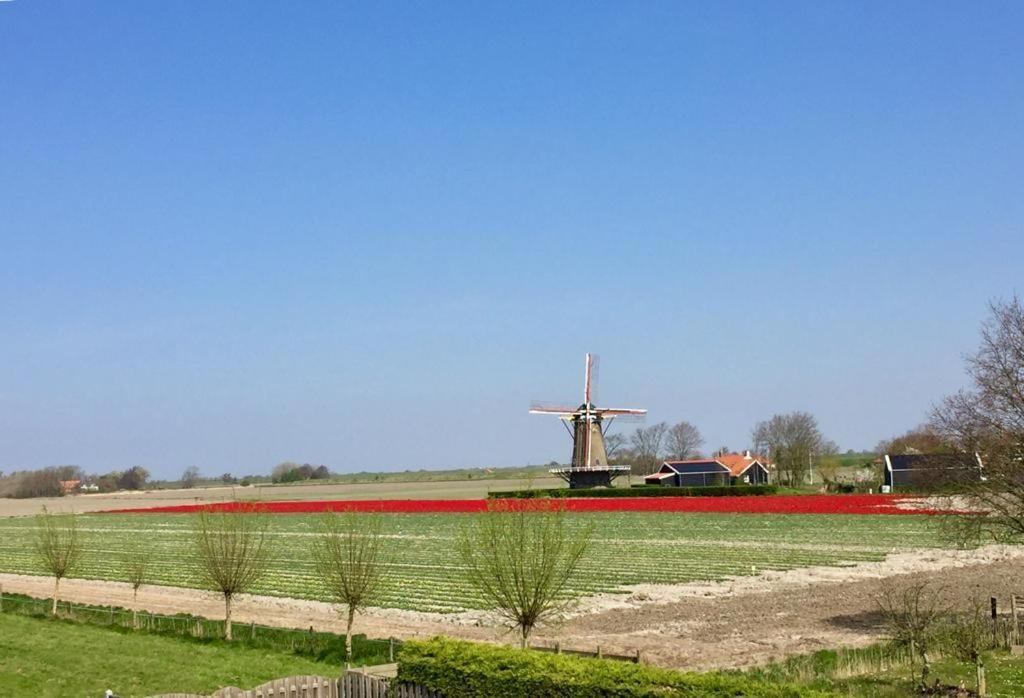 T Huuske Tuinappartement Met Fantastisch Uitzicht, Nabij Zee Zonnemaire Екстер'єр фото