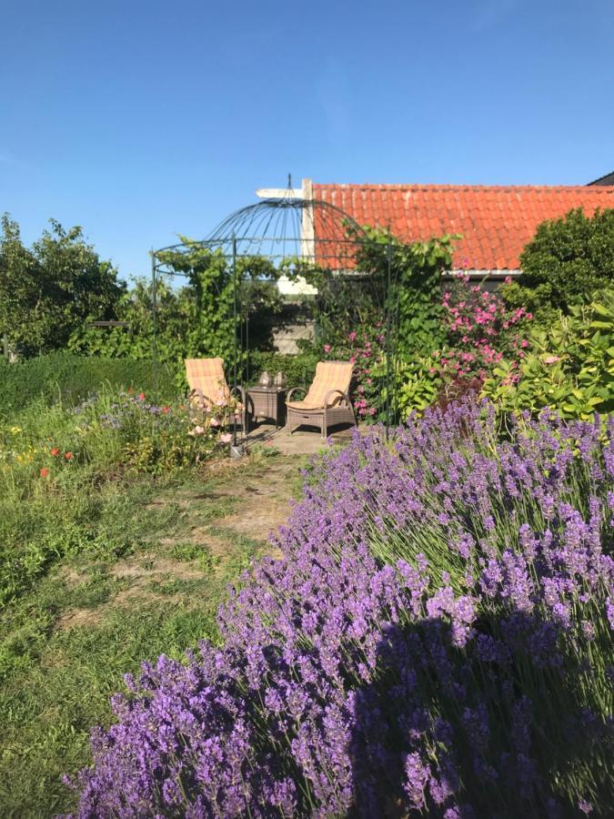 T Huuske Tuinappartement Met Fantastisch Uitzicht, Nabij Zee Zonnemaire Екстер'єр фото
